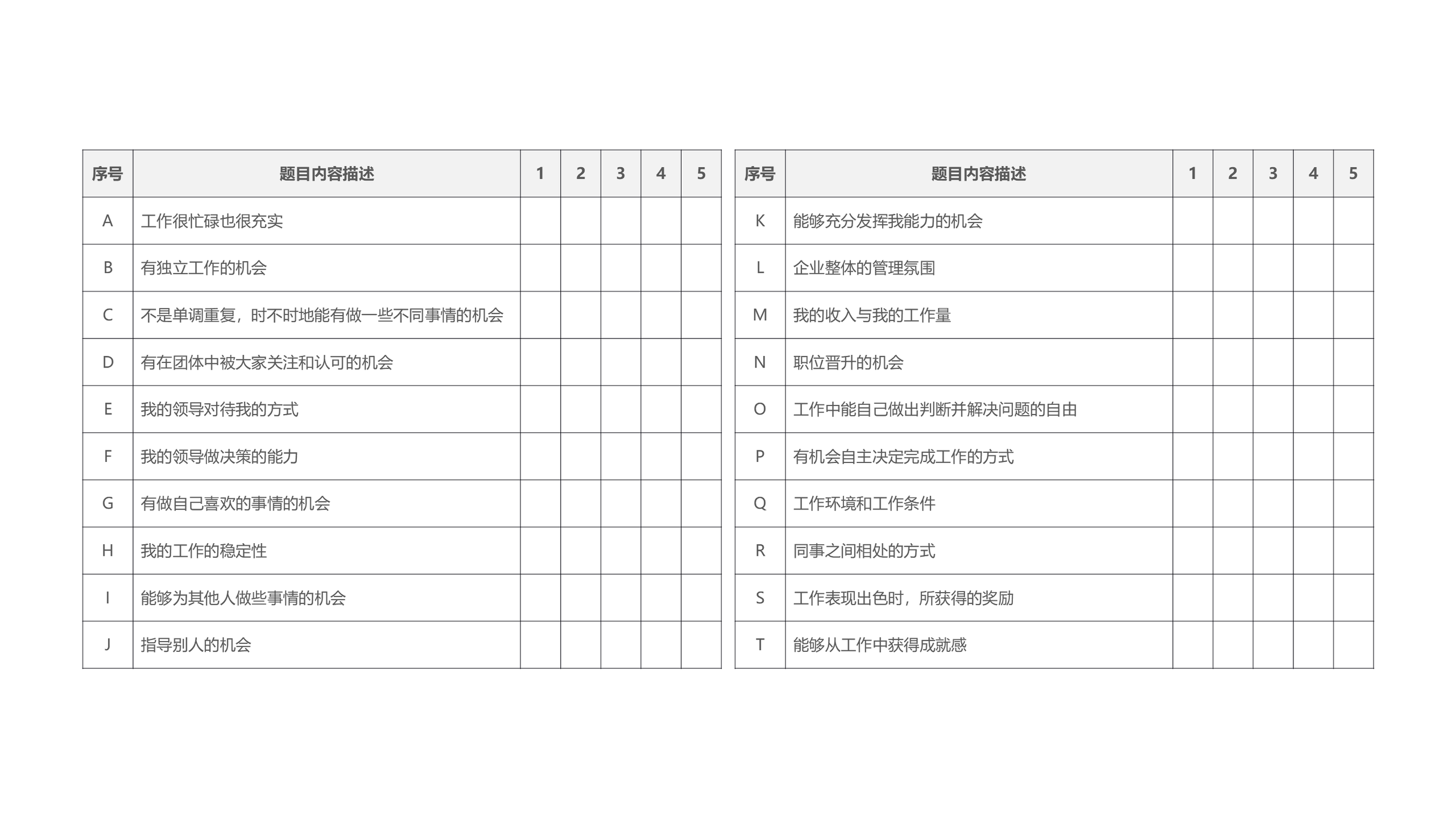 明尼苏达满意度量表